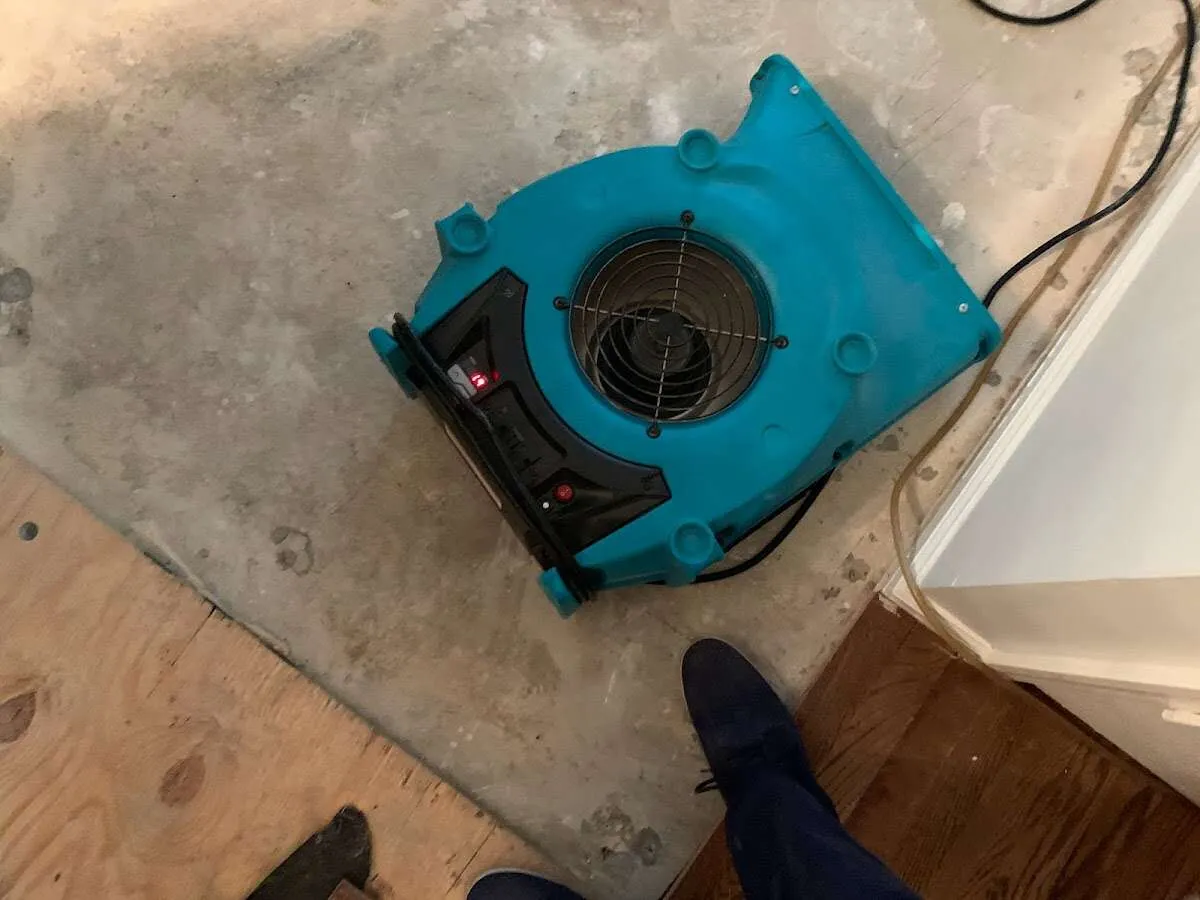 Air mover drying subfloor during Commercial Water Damage Restoration in Montrose